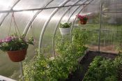 Zahradní skleník Dodo 314